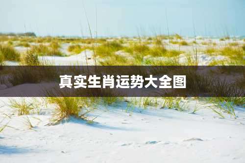 真实生肖运势大全图