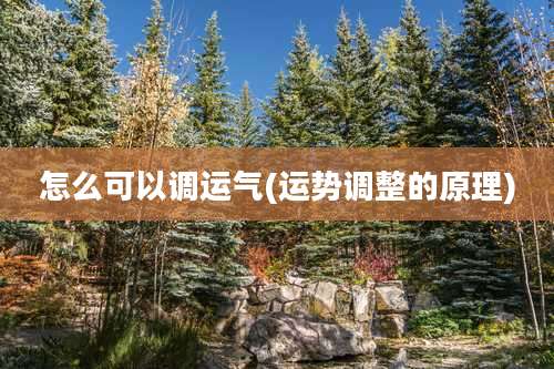 怎么可以调运气(运势调整的原理)