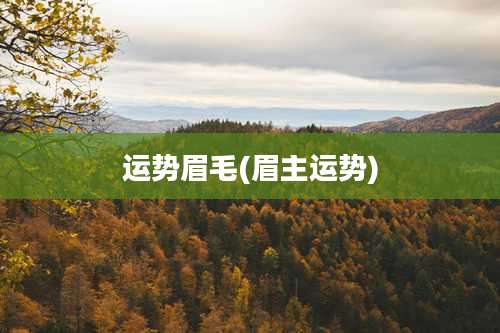 运势眉毛(眉主运势)