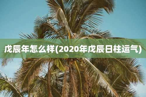 戊辰年怎么样(2020年戊辰日柱运气)