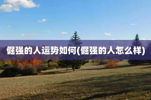 倔强的人运势如何(倔强的人怎么样)