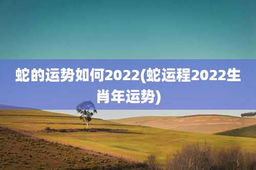 蛇的运势如何2022(蛇运程2022生肖年运势)