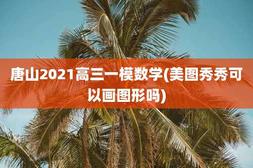 唐山2021高三一模数学(美图秀秀可以画图形吗)