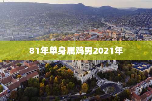 81年单身属鸡男2021年