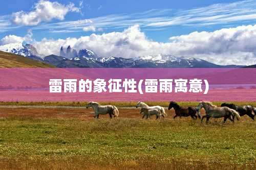 雷雨的象征性(雷雨寓意)
