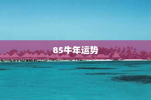 85牛年运势