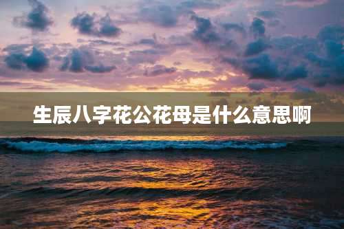 生辰八字花公花母是什么意思啊
