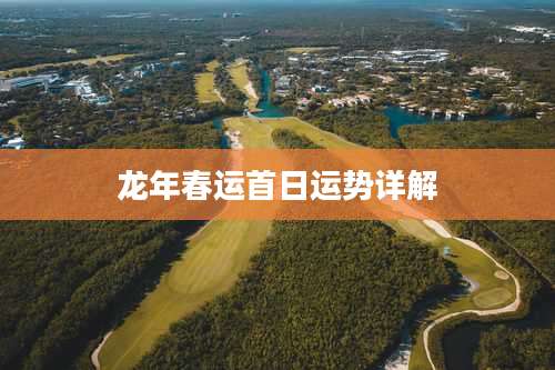 龙年春运首日运势详解