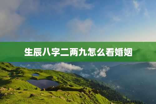 生辰八字二两九怎么看婚姻