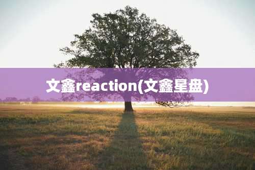 文鑫reaction(文鑫星盘)