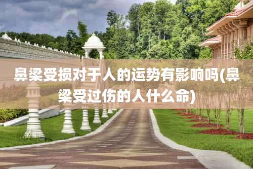 鼻梁受损对于人的运势有影响吗(鼻梁受过伤的人什么命)