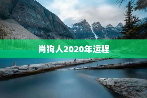 肖狗人2020年运程