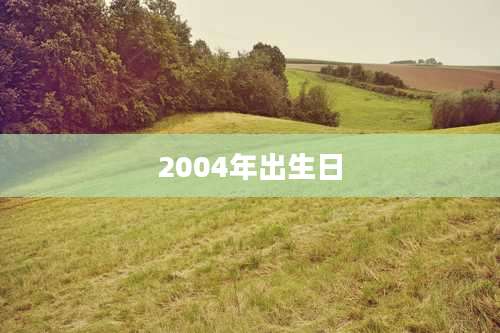 2004年出生日