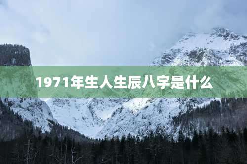 1971年生人生辰八字是什么