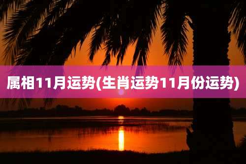 属相11月运势(生肖运势11月份运势)