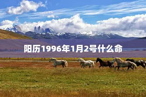阳历1996年1月2号什么命
