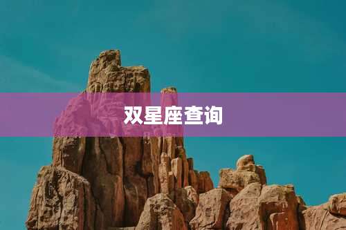 双星座查询