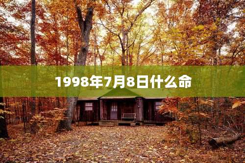 1998年7月8日什么命