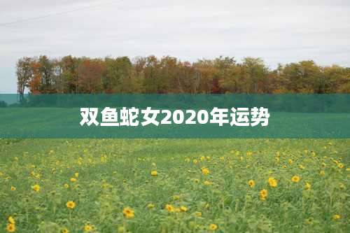 双鱼蛇女2020年运势