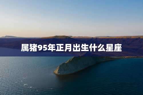属猪95年正月出生什么星座