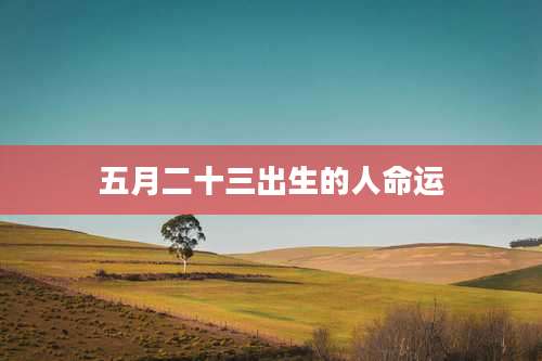 五月二十三出生的人命运