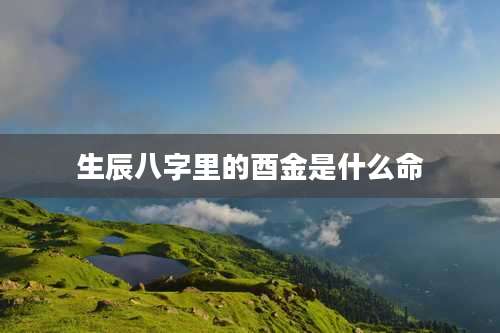 生辰八字里的酉金是什么命