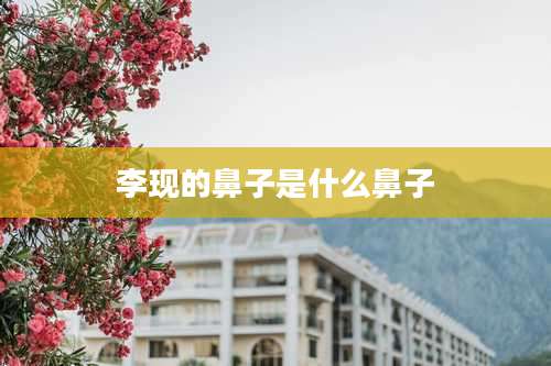 李现的鼻子是什么鼻子