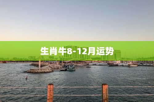 生肖牛8-12月运势