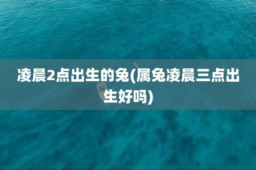 凌晨2点出生的兔(属兔凌晨三点出生好吗)
