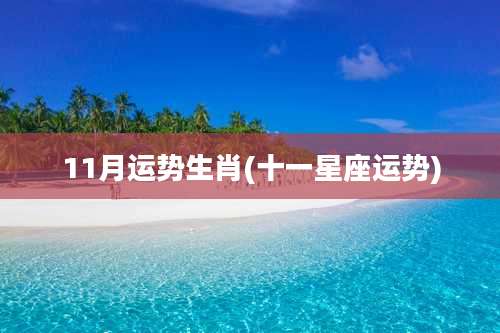11月运势生肖(十一星座运势)