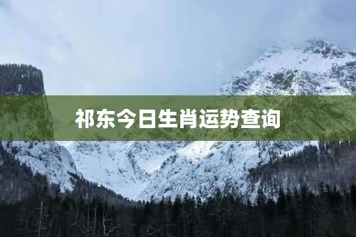 祁东今日生肖运势查询