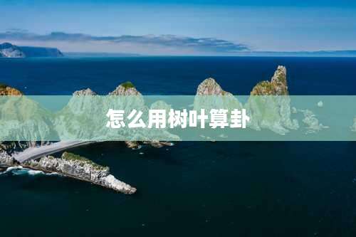 怎么用树叶算卦