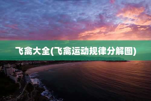 飞禽大全(飞禽运动规律分解图)