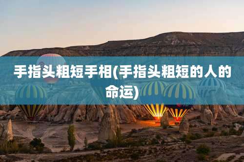 手指头粗短手相(手指头粗短的人的命运)