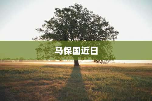 马保国近日