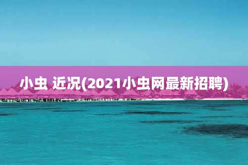 小虫 近况(2021小虫网最新招聘)
