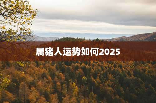属猪人运势如何2025