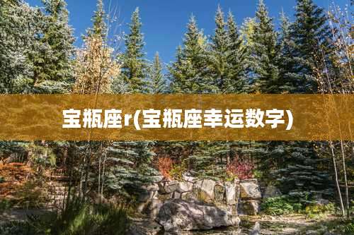 宝瓶座r(宝瓶座幸运数字)