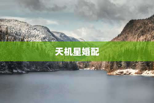 天机星婚配