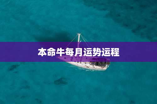 本命牛每月运势运程