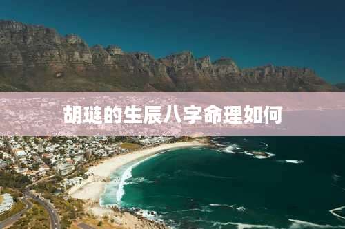 胡琏的生辰八字命理如何