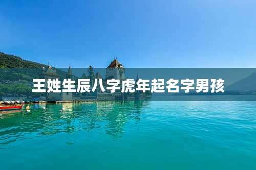王姓生辰八字虎年起名字男孩
