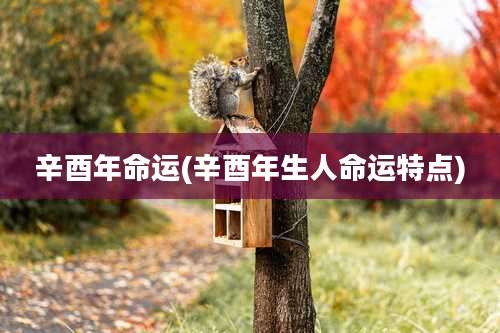 辛酉年命运(辛酉年生人命运特点)