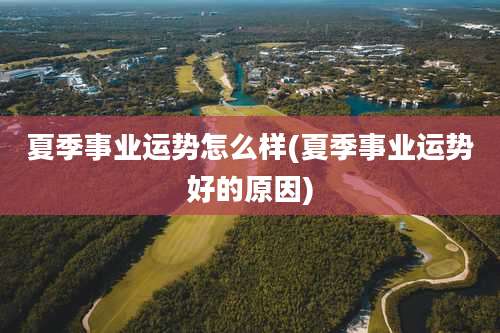 夏季事业运势怎么样(夏季事业运势好的原因)