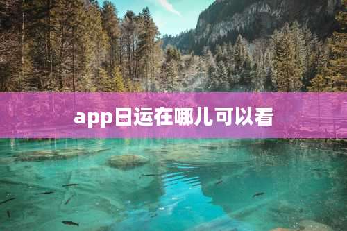 app日运在哪儿可以看