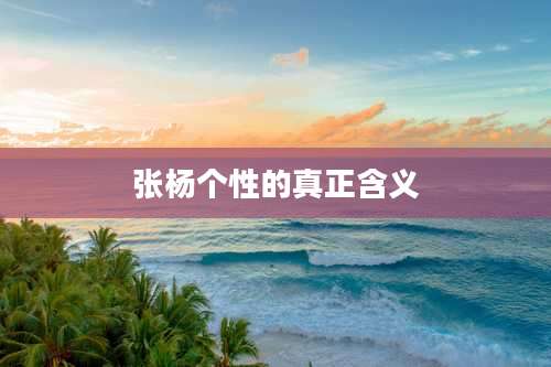 张杨个性的真正含义