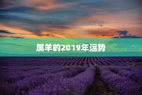 属羊的2019年运势