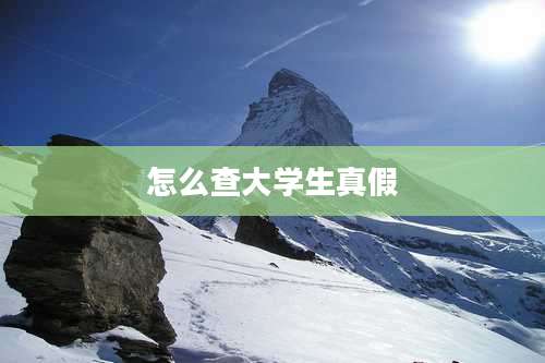 怎么查大学生真假