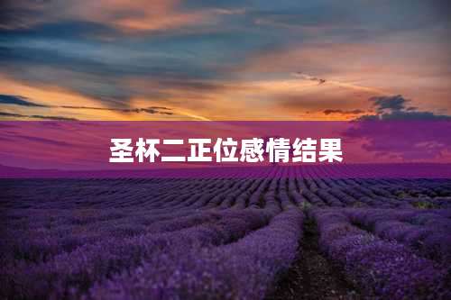 圣杯二正位感情结果