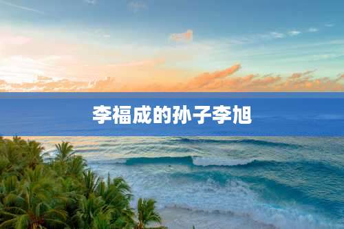 李福成的孙子李旭